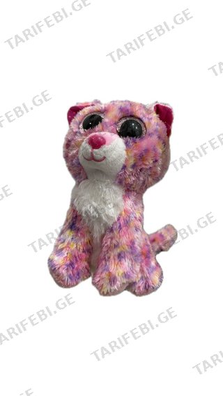 Sophie the cat