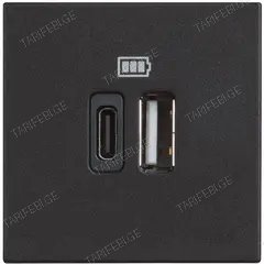 როზეტი Bticino bt-RG4287C2 USB  A C შავი