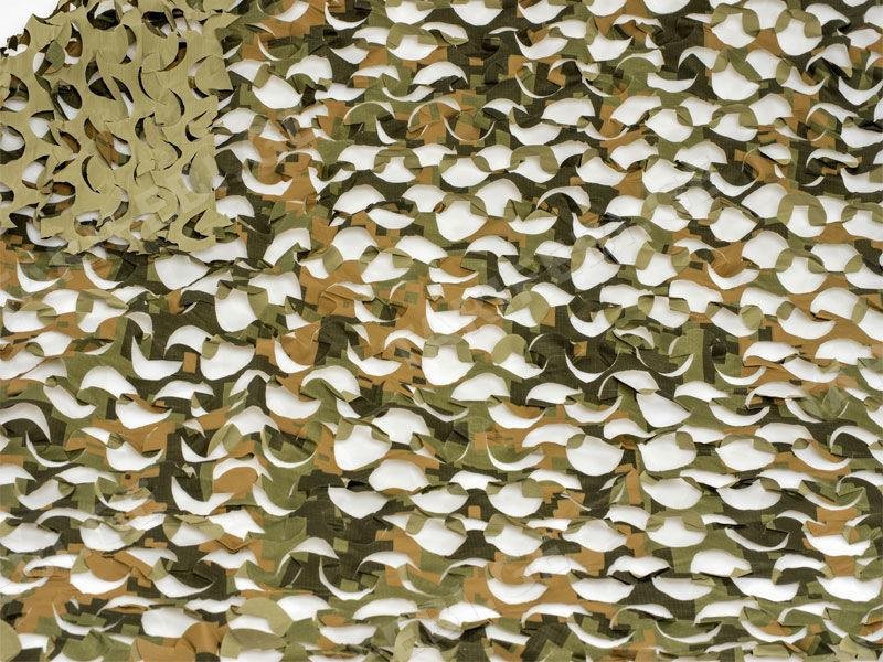 Camosystems Пейзаж Полынь 3D 2,4×3