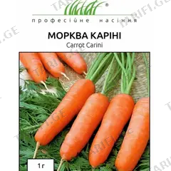 სტაფილოს თესლი ELITSORT კარინი 1 გრ