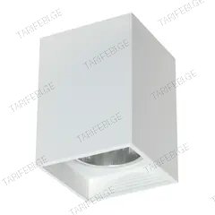 სანათი წერტილოვანი Luminex Downlight sguare 7244 1xE27 60W თეთრი