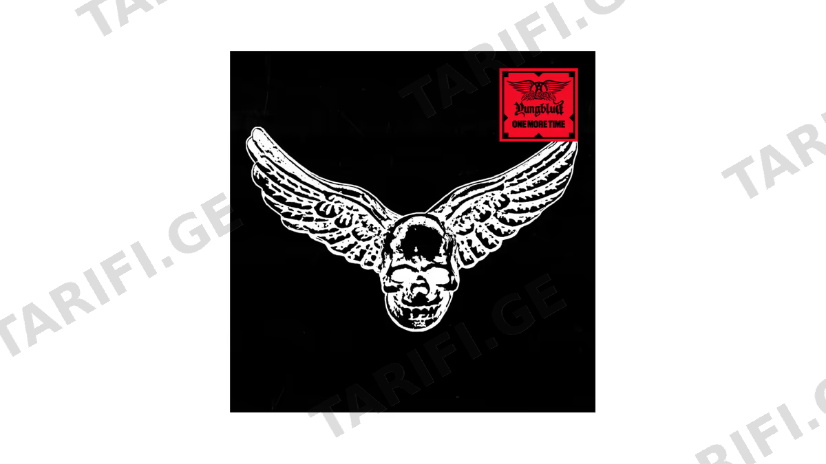 ვინილი Aerosmith, Yungblud-One More Time AS01
