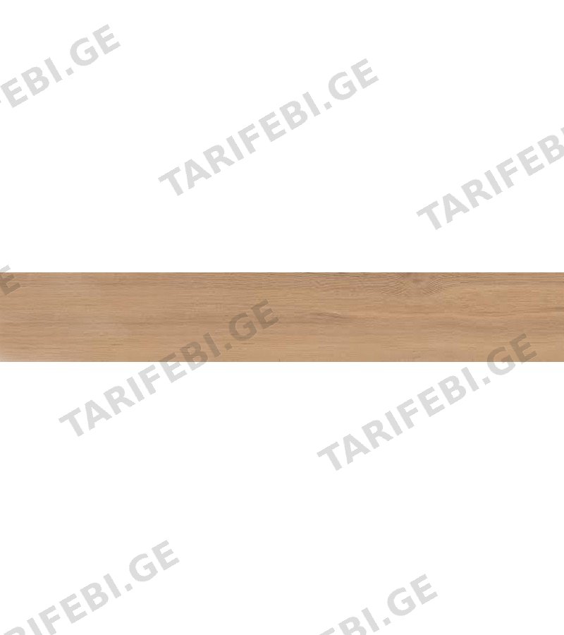 კერამოგრანიტი NATIONAL FST NATURAL MT 22.5X119.5 CICOGRES S.A