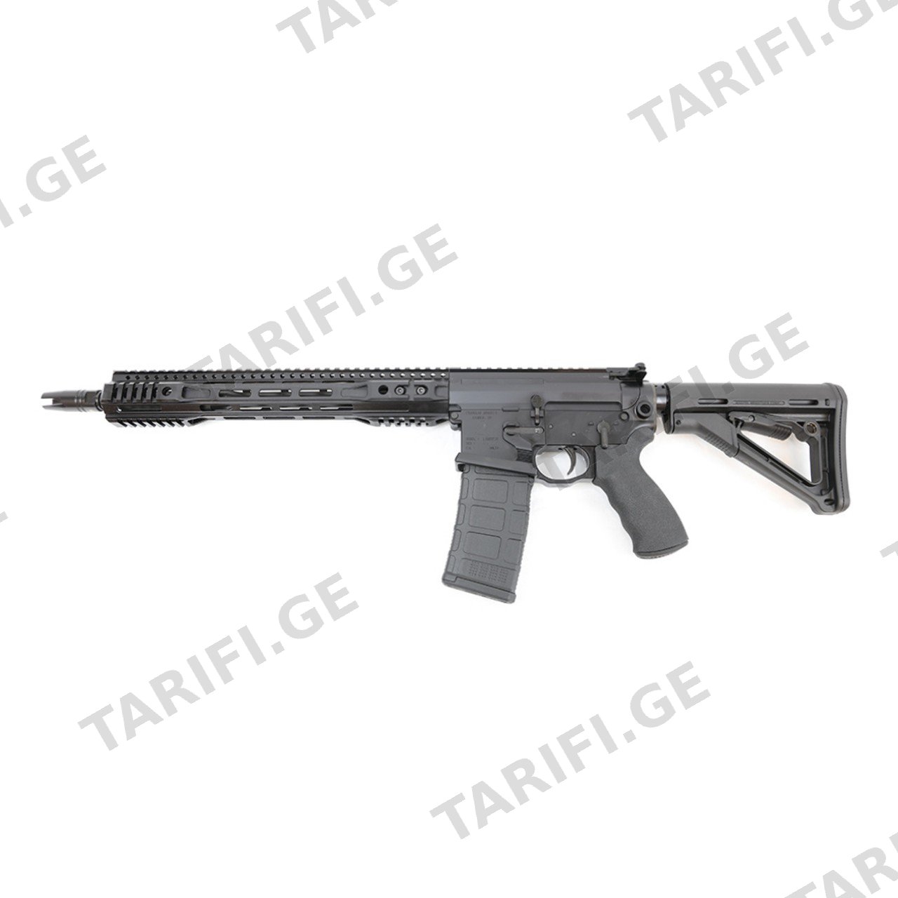 Franklin Armory LIBERTAS -S