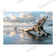 სურათი ტილოზე Styler ST879 DRIFTWOOD/CA-18694 85x113 სმ