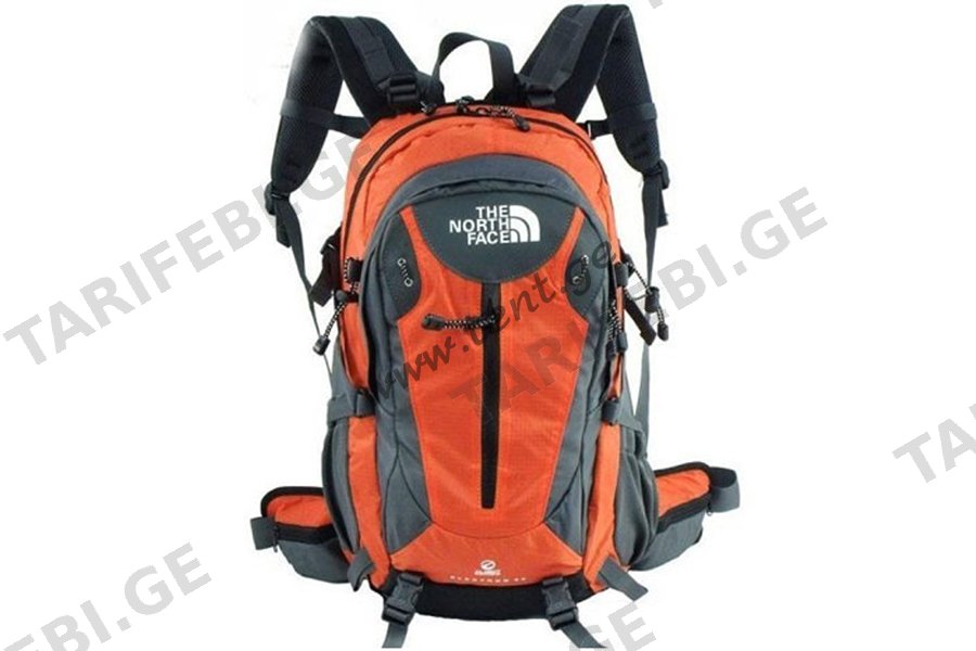 ზურგჩანთა The North Face 25 ლიტრი · 14517