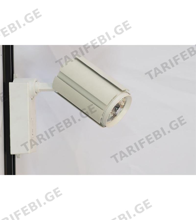 პროჟექტორი LED თეთრი 6500K WD-109 30 W