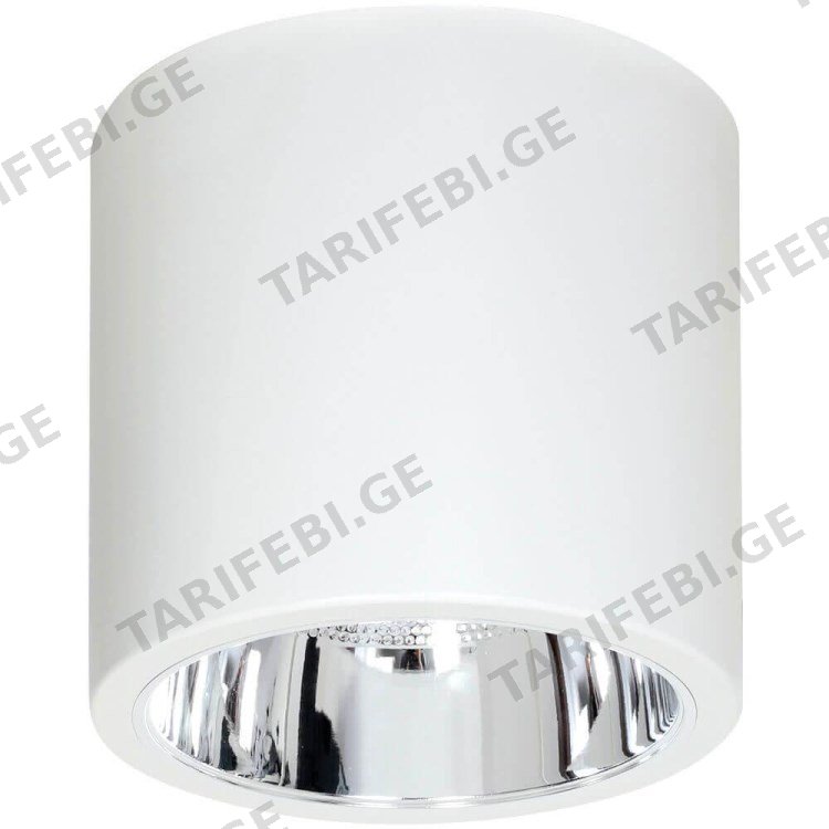 სანათი წერტილოვანი Luminex Downlight round 7238 D13.3 1xE27 60W თეთრი