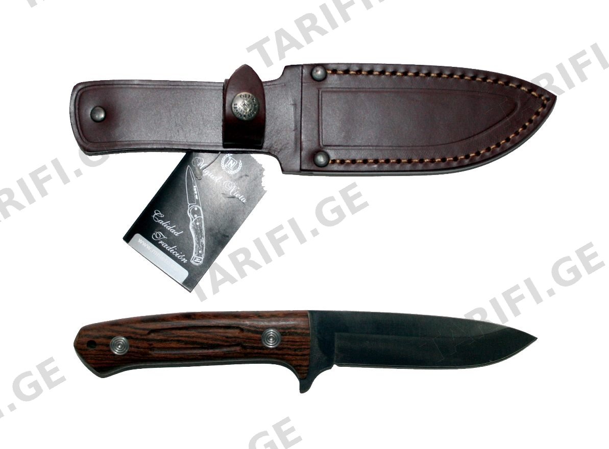 MIGUEL NIETTO 1031