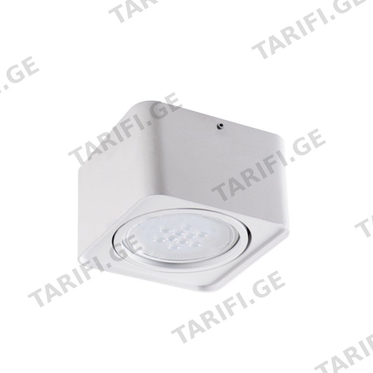 სანათი წერტილოვანი მბრუნავი Kanlux TUBEO ES 50-W GU10 1x MAX 25W