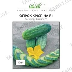 კიტრის თესლი Elitsort Seeds Crispina F1 10 ც
