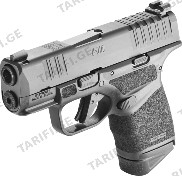 HS H11