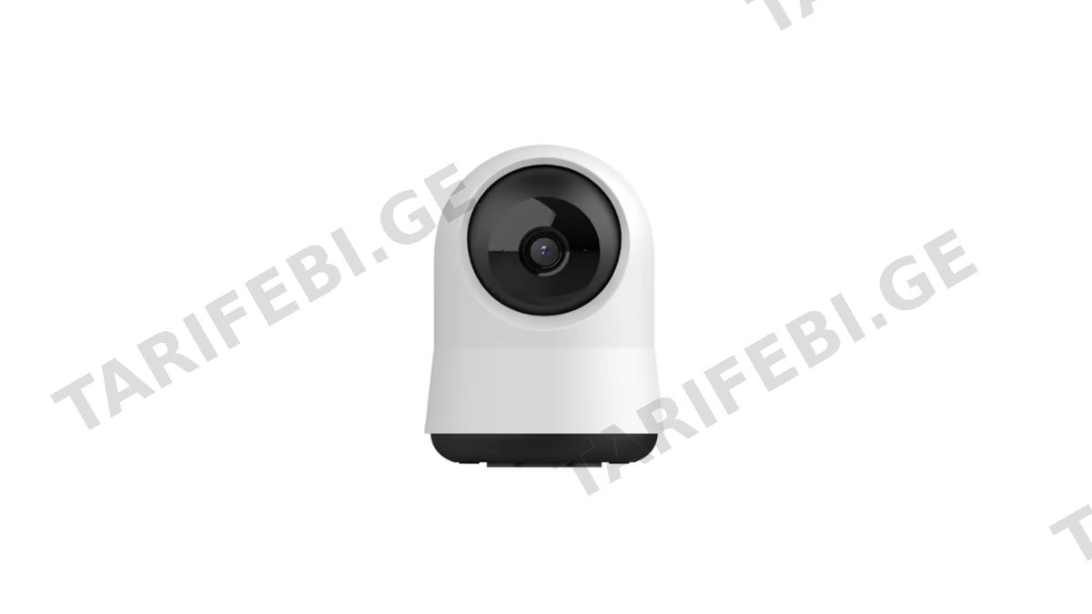 ვიდეო ძიძა 4MP