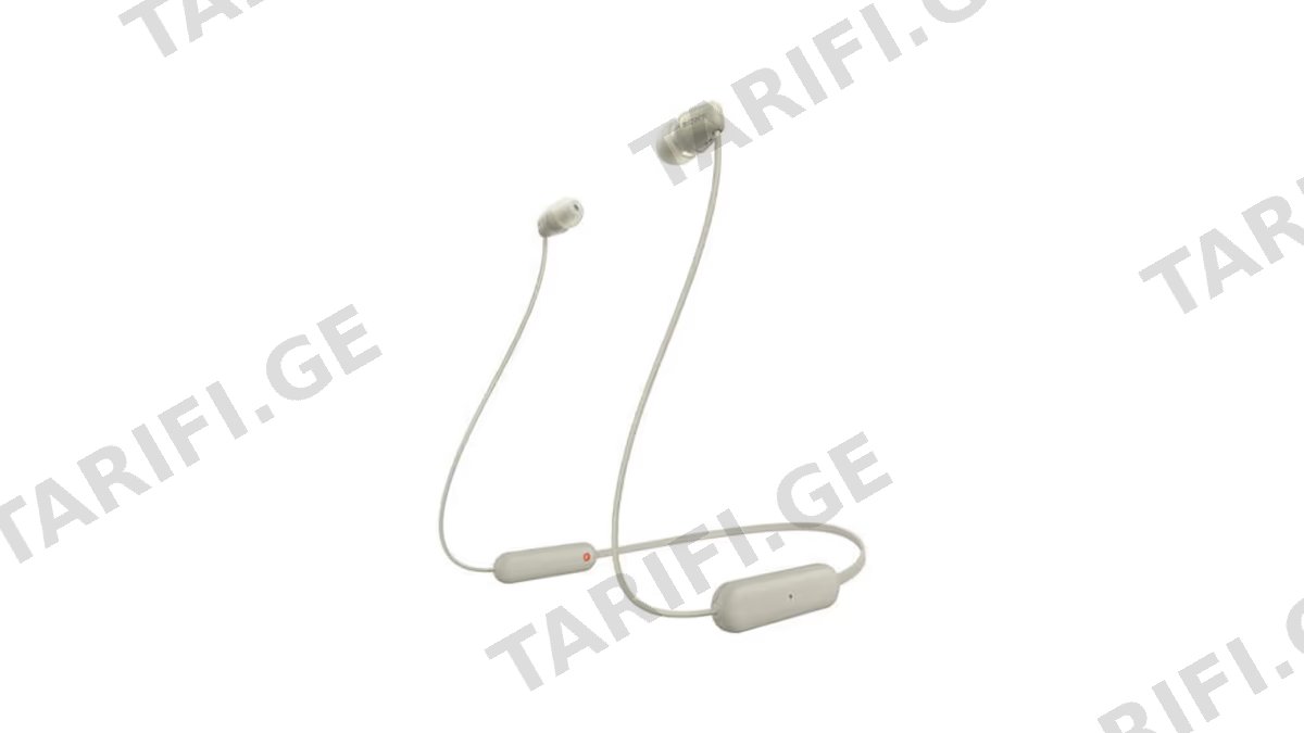 Sony WI-C100 Wireless In-ear Headphones
