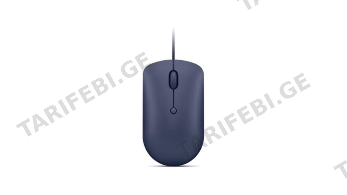 Lenovo 540 USB-C Wired Mouse GY51D20878