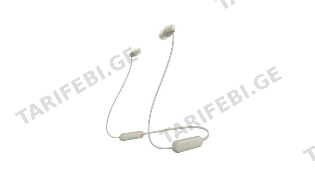 Sony WI-C100 Wireless In-ear Headphones