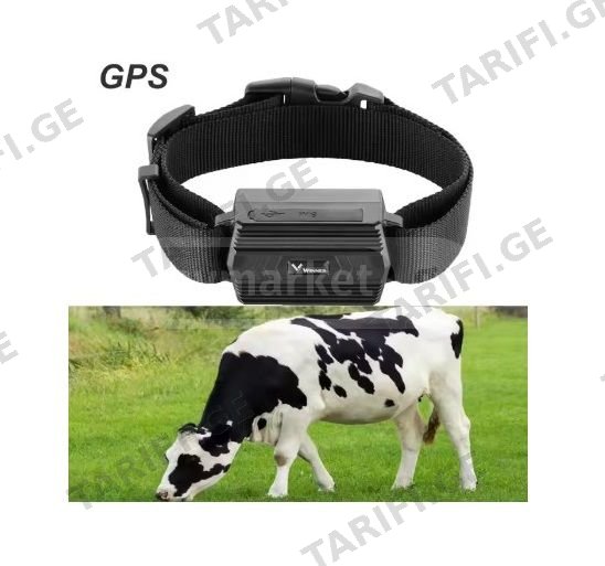 GPS ტრეკერი ჯიპიესი ჯიპიეს მოწყობილობა