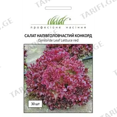 სალათის ფურცლის თესლი Elitsort Seeds Concorde Leaf Lettuce red 30 ც