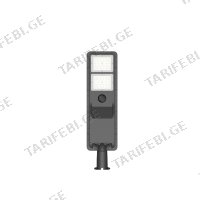 (16W) Solar ლამპიონის პროჟექტორი LINUS LSL120-1035