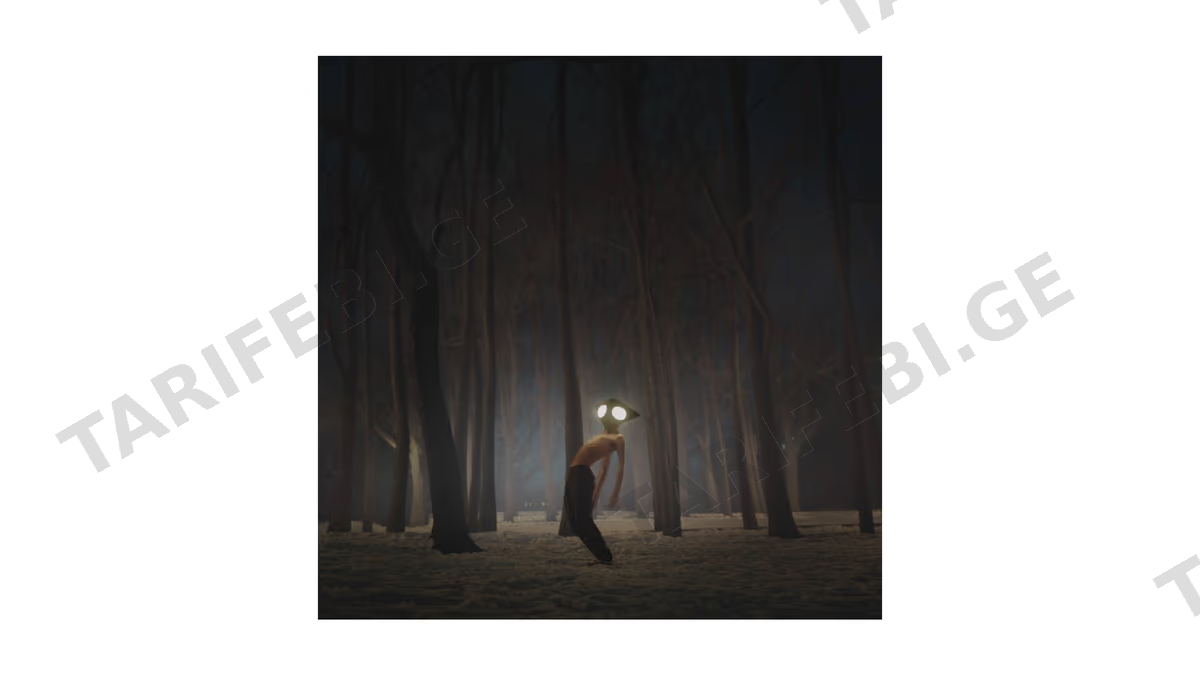 ვინილი Geese – Projector G01 (Vinyl)