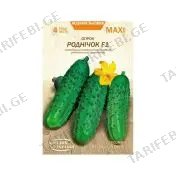კიტრის თესლი MAXI SPRING