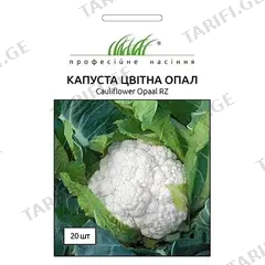 ყვავილოვანი კომბოსტოს თესლი Elitsort Seeds 20 ც