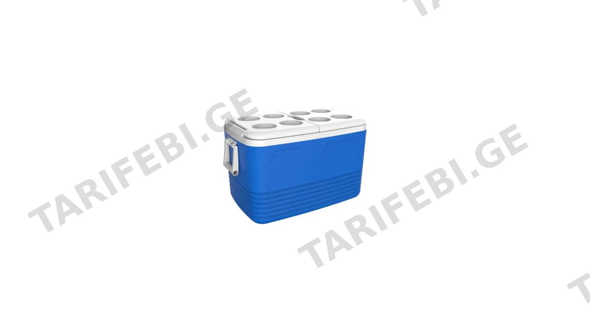 ყინულის ყუთი 60ლ