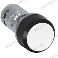 ღილაკი ABB ფიქსაციის გარეშე თეთრი 22 mm 2NO
