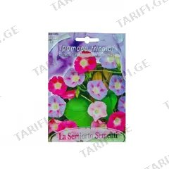 იპომეას თესლი Ipomea GRANDIFLORA IN MIX FI564-MAXIFlor