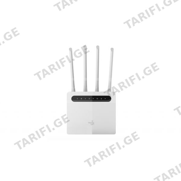 Wifi როუტერი Toplink HW493pro cpe WITH 4 Antenna